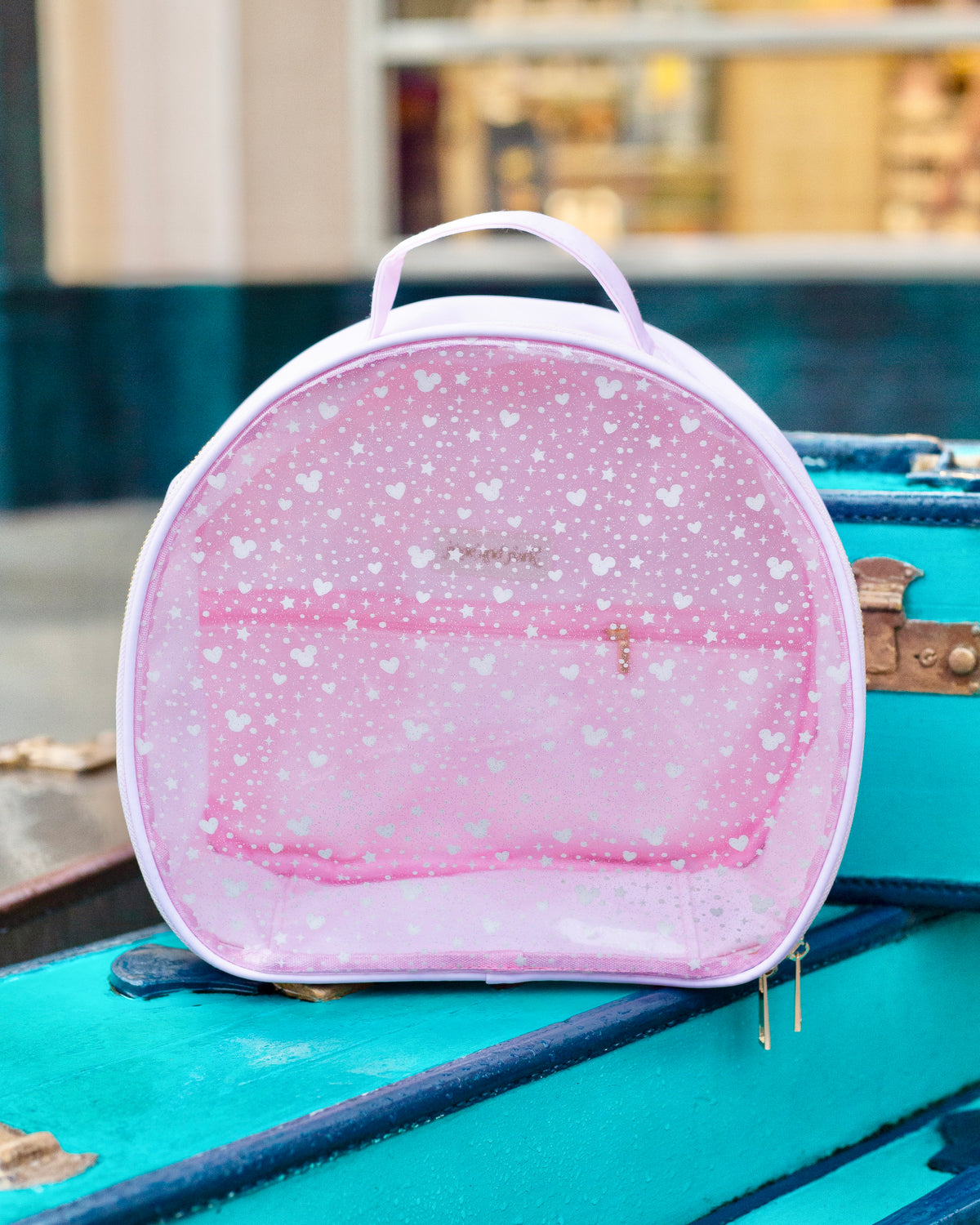 Pixie Dust Ears Pouch